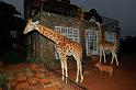 003 Kenia, Nairobi, Giraffe Manor